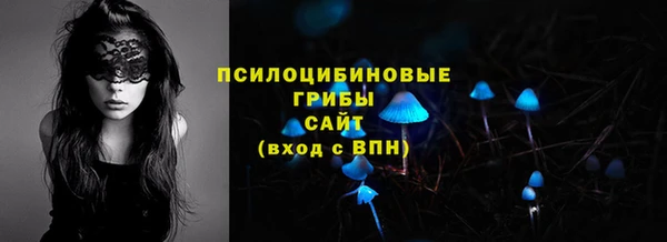 трава Кинешма