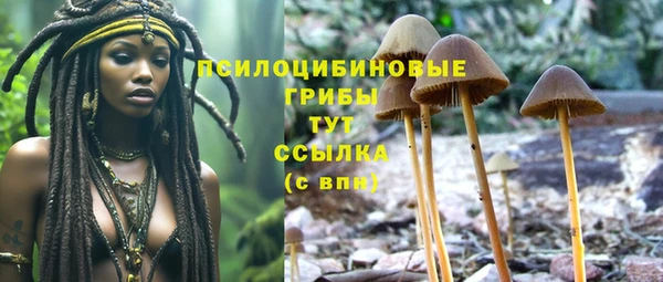 mix Козловка